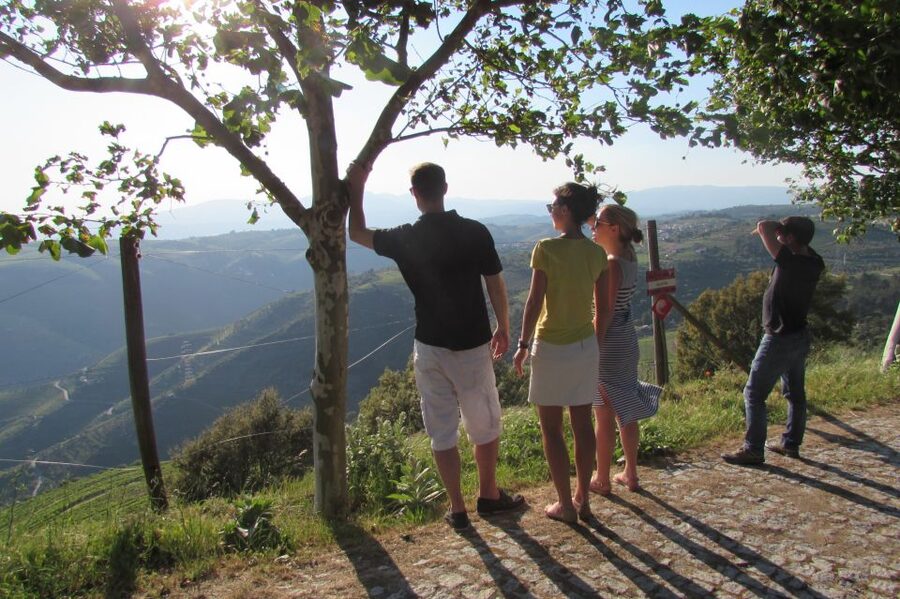 Porto: 3 Douro Valley Vineyards Tour with Lunch - Porto to Douro Valley: what this day trip delivers