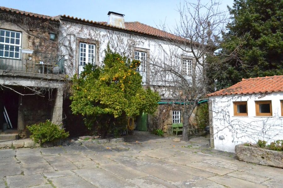 Porto: 3 Douro Valley Vineyards Tour with Lunch - Stop 1 in Sabrosa: guided winery tour and the first round of port/DOC
