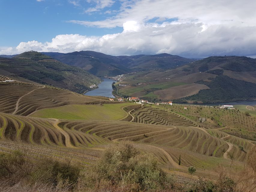 Porto: 3 Douro Valley Vineyards Tour with Lunch - Stop 2 lunch at the vineyard: where the day really becomes Portuguese