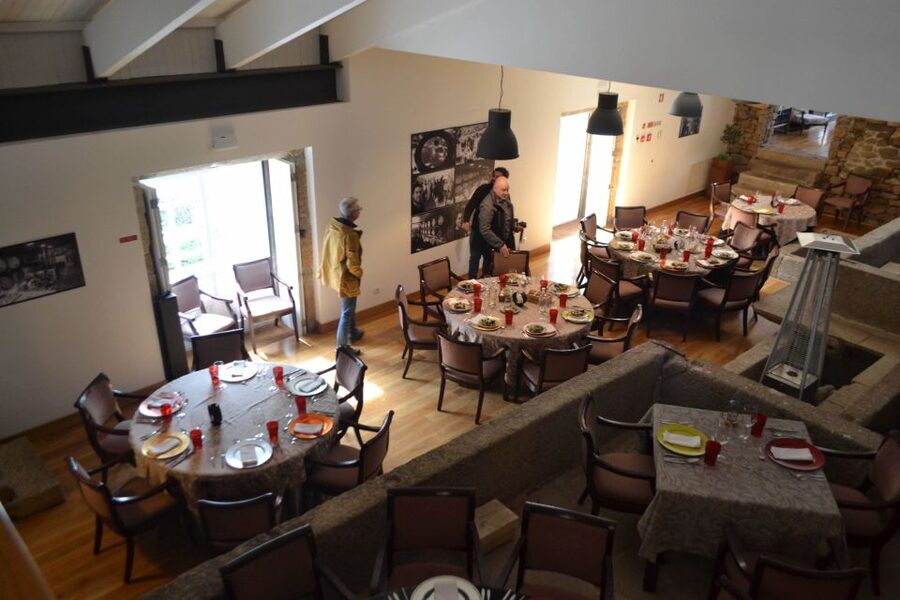 Porto: 3 Douro Valley Vineyards Tour with Lunch - Small-group energy, comfort, and how long the day feels
