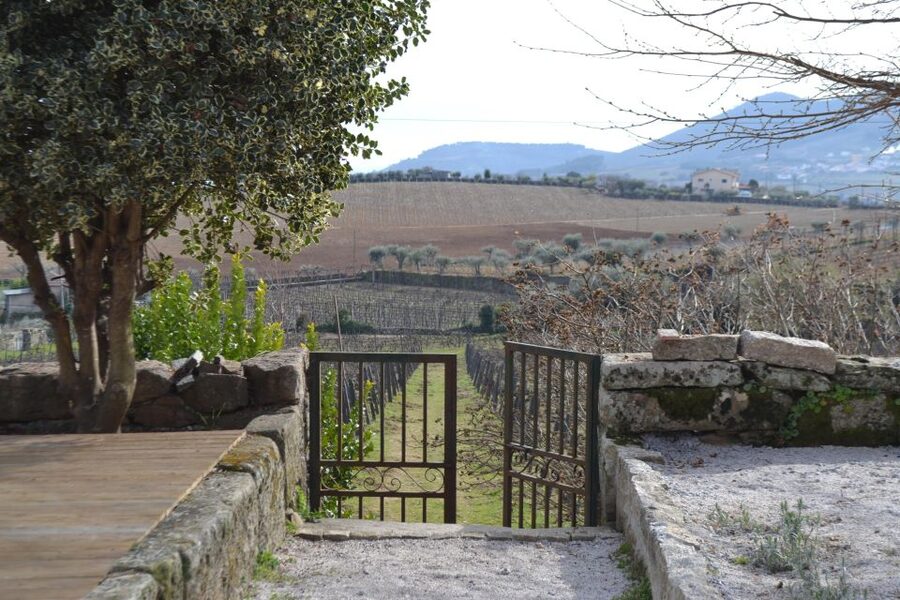 Porto: 3 Douro Valley Vineyards Tour with Lunch - What to taste and how to get more out of each stop