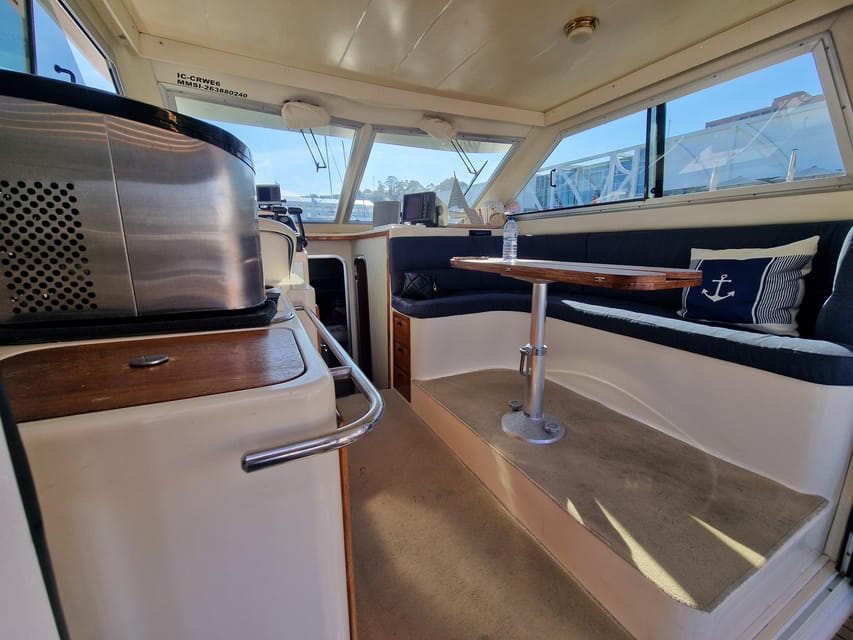 Porto: 6 Bridges Cruise & Port Wine with Sunset Option - The Sunset Option: Atlantic Time, Wind, and the Dolphins Question