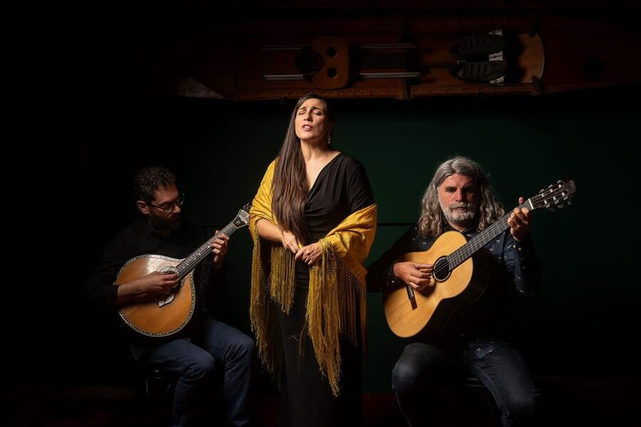 Porto: Authentic Fado Concert With Port Wine & Views - Who should book this Fado concert