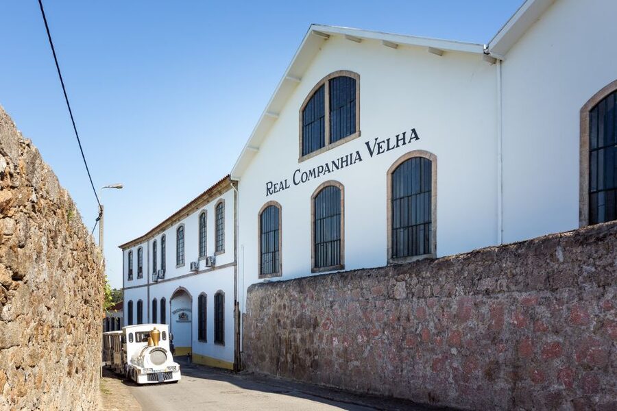 Porto: City Train Tour, River Cruise & Wine Cellar - A Few Practical Moves That Make It Smoother