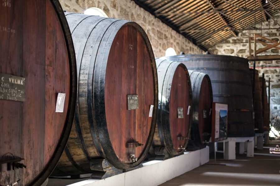 Porto: City Train Tour, River Cruise & Wine Cellar - Can You Split It Into Two Days?