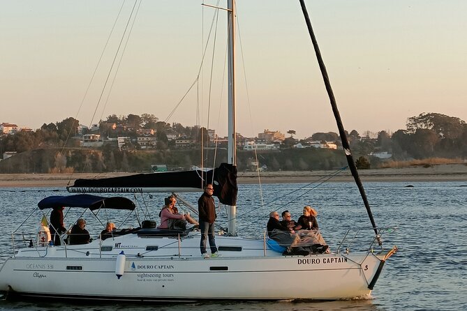 Porto: Cruzeiro privado rio douro até 8 pessoas com wine tasting - What you’ll see from the water (and how to make the most of it)