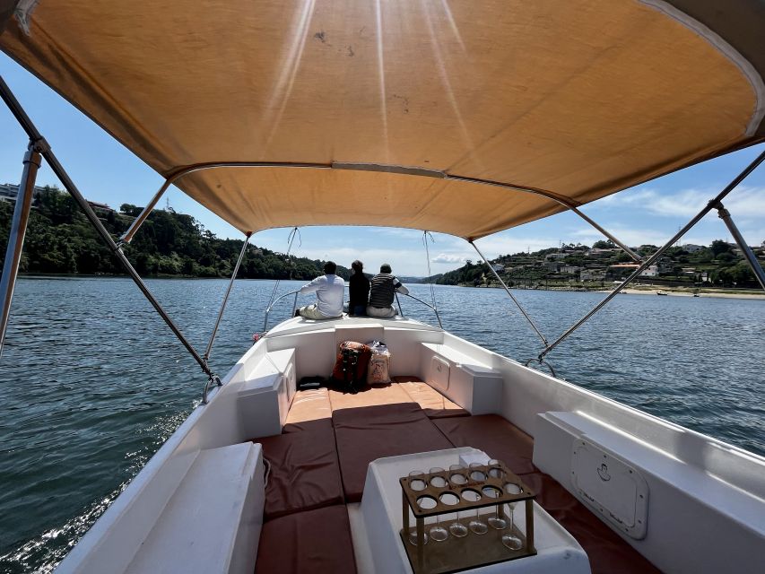 Porto: Douro River Boat Cruise with Port Wine Tasting - Ponte Maria Pia: getting the best early river angle