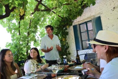 Porto: Douro Valley, 2 Wineries, Lunch, and 1-Hour Boat Tour - Porto Pickup and the Scenic Loop via N323