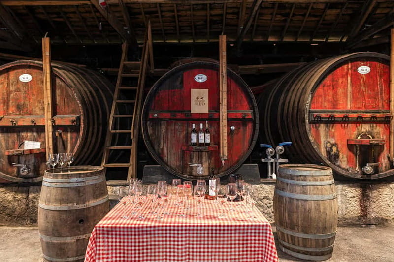 Porto: Douro Valley, 2 Wineries, Lunch & Private Boat Trip - Final verdict: should you book it?