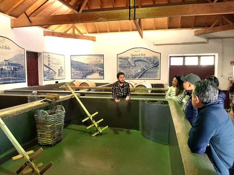 Porto: Douro Valley, 2 Wineries, Lunch & Private Boat Trip - Fire-cooked lunch at a local farm: why it’s more than a meal