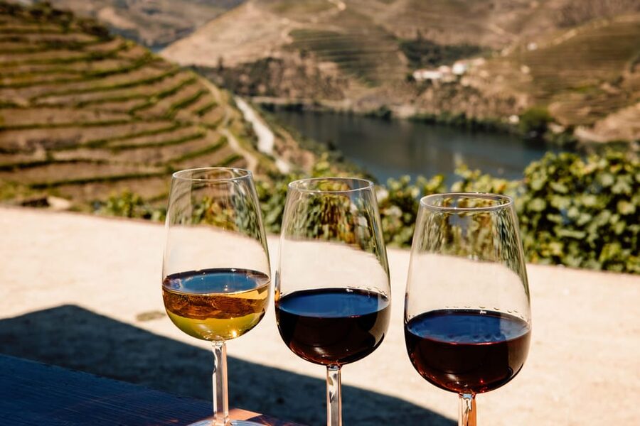 Porto: Douro Valley & Amarante Wine, Food & River Tour - From Trindade Domus to the N222: the drive that sets expectations