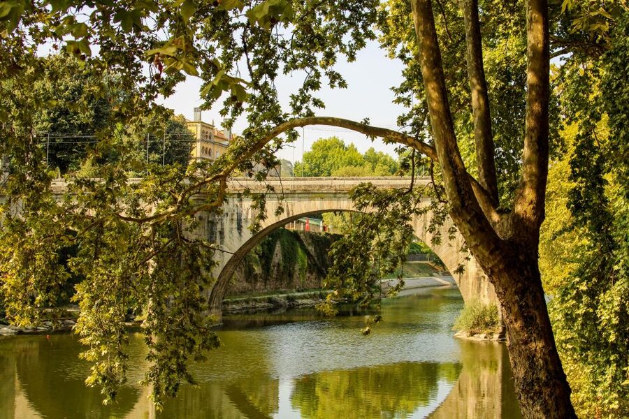 Porto: Douro Valley History & Wine Tour with Cruise & Lunch - Value and Timing: How to Make the Day Feel Less Packed