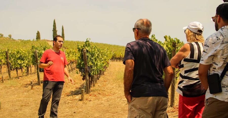 Porto: Douro Valley History & Wine Tour with Cruise & Lunch - From Porto Cathedral to the Douro: Getting Started Right