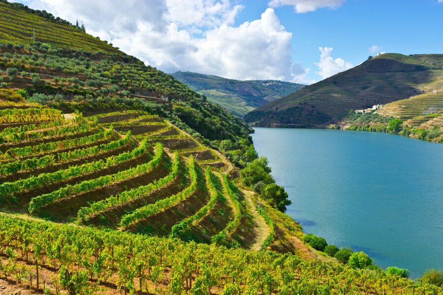 Porto: Douro Valley History & Wine Tour with Cruise & Lunch - São Leonardo da Galafura: The Douro View You’ll Actually Remember