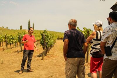 Porto: Douro Valley History & Wine Tour with Cruise & Lunch - Amarante: City Walk, Then Time to Breath