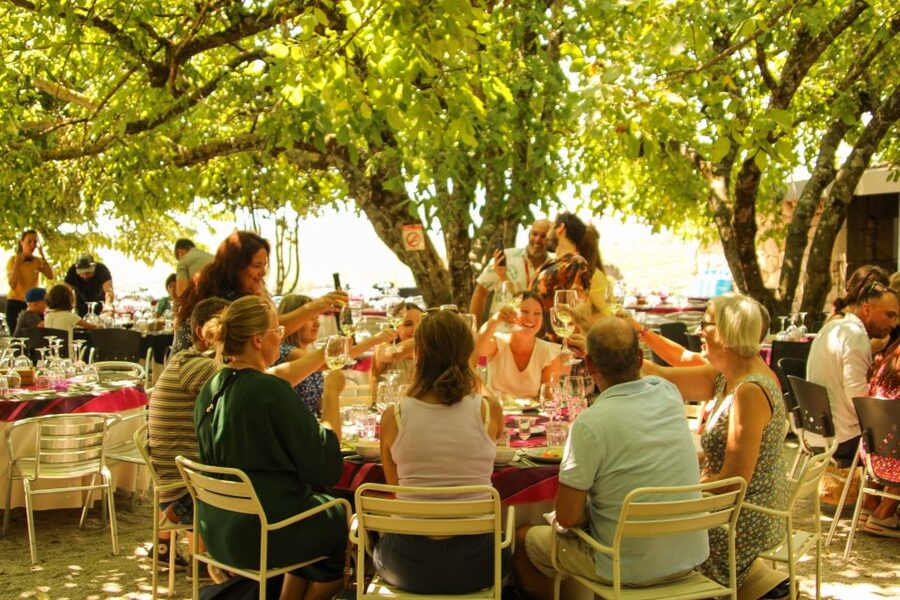 Porto: Douro Valley History & Wine Tour with Cruise & Lunch - The Drive Into Pinhão: Time for Water and Views