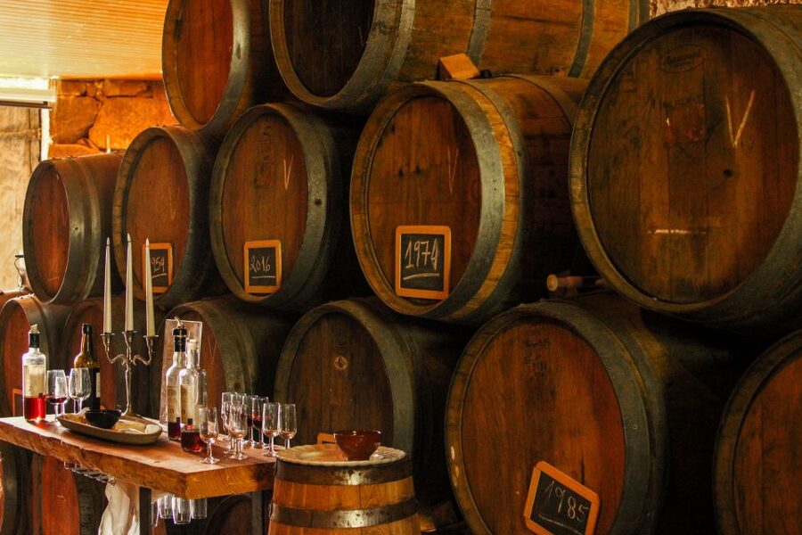 Porto: Douro Valley History & Wine Tour with Cruise & Lunch - Porto Walking Tour Add-On: A Nice Way to Land Back Home