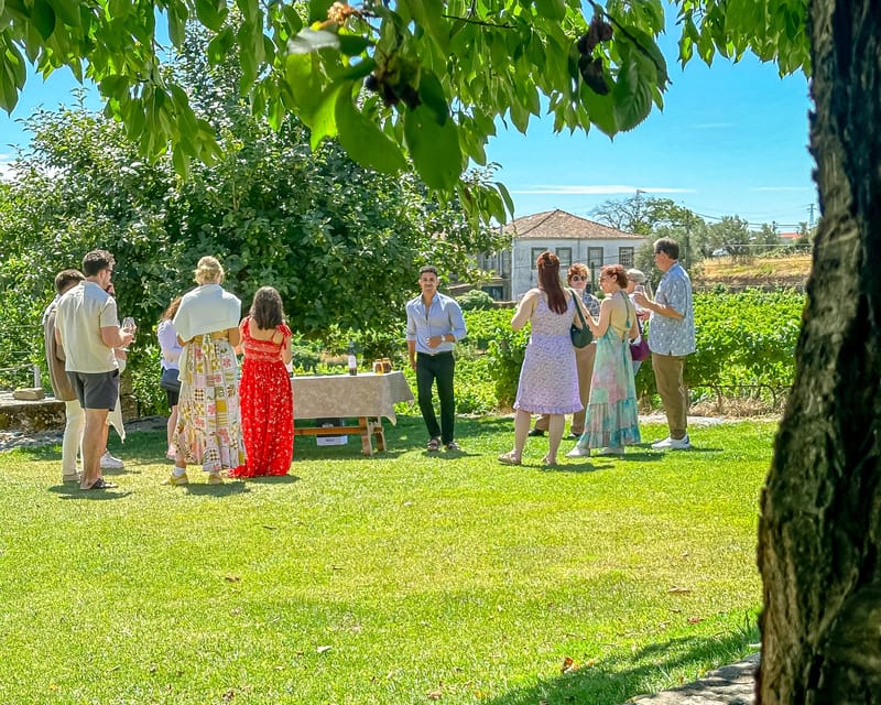 Porto: Douro Valley Tour with 2 Wineries, Lunch and Cruise - Key things that make this Douro tour worth your day