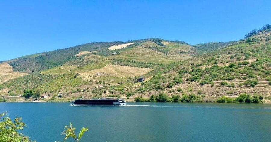 Porto: Douro Valley Tour with 2 Wineries, Lunch and Cruise - Sabrosa lunch at a winery: the meal part is not an afterthought
