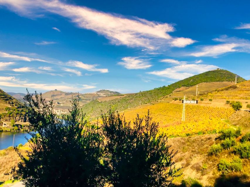 Porto: Douro Valley Tour with 2 Wineries, Lunch and Cruise - Winery #2 in Sabrosa: guided tour plus time to ask questions
