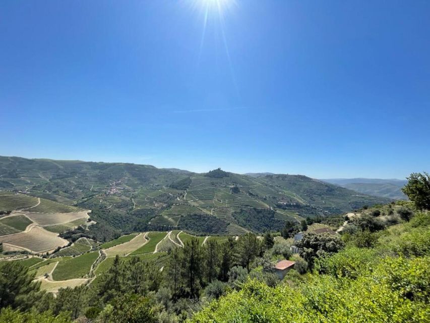 Porto: Douro Valley Tour with 2 Wineries, Lunch and Cruise - Meeting at Trindade and the drive along N222 viewpoints