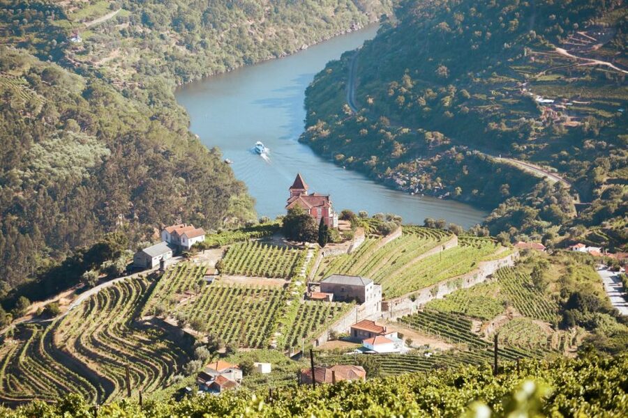 Porto: Douro Valley Tour with Wine Tasting, Cruise and Lunch - Peso da Régua coffee stop: the smartest 15 minutes you’ll spend