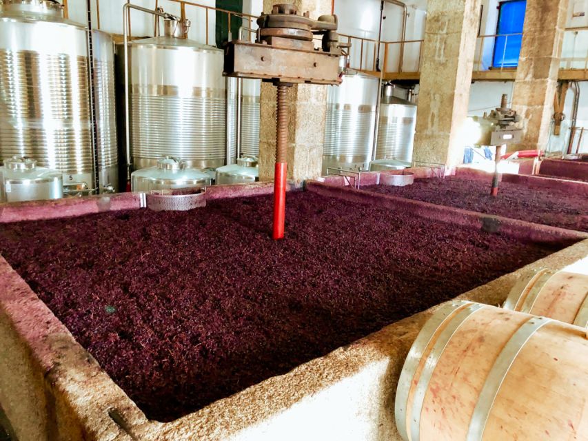 Porto: Douro Valley Tour with Wine Tasting, Cruise and Lunch - Lunch in the Douro Valley: where the day becomes Portuguese