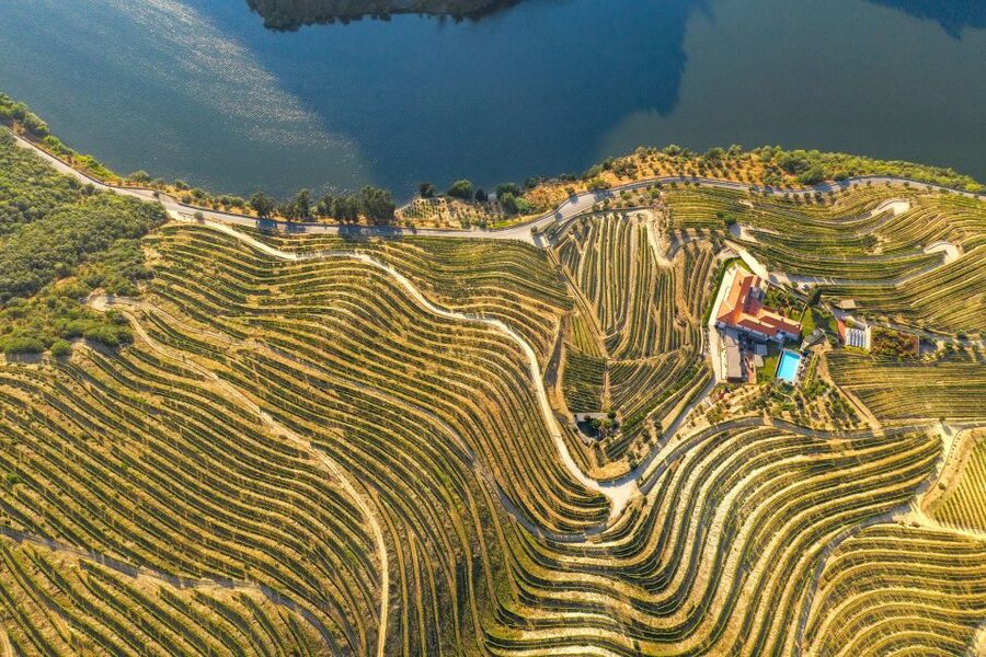 Porto: Douro Valley Tour with Wine Tasting, Cruise and Lunch - Winery stop two: second tasting round, stronger comparisons