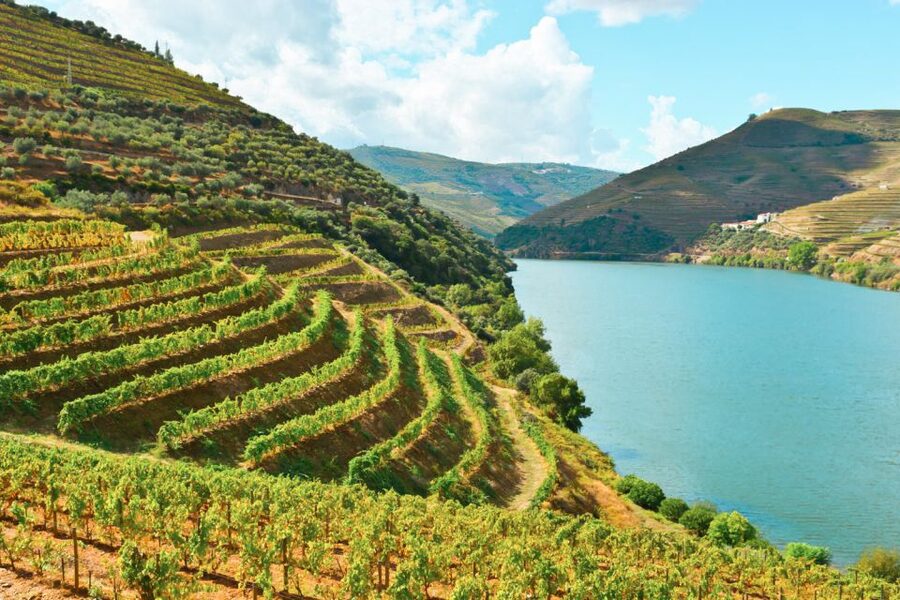 Porto: Douro Valley Tour with Wine Tasting, Cruise and Lunch - Pinhão boat cruise: the Douro views that road stops can’t match