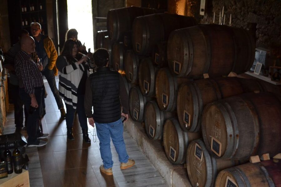 Porto: Douro Valley Vineyards Tour with Lunch & River Cruise - Key points before you go
