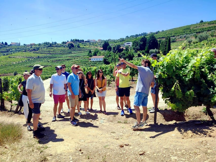 Porto: Douro Valley Vineyards Tour with Lunch & River Cruise - Why the Douro Valley tour feels worth the long day