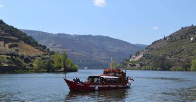 Porto: Douro Valley Vineyards Tour with Lunch & River Cruise - Getting out of Porto: comfortable transport and smart stops