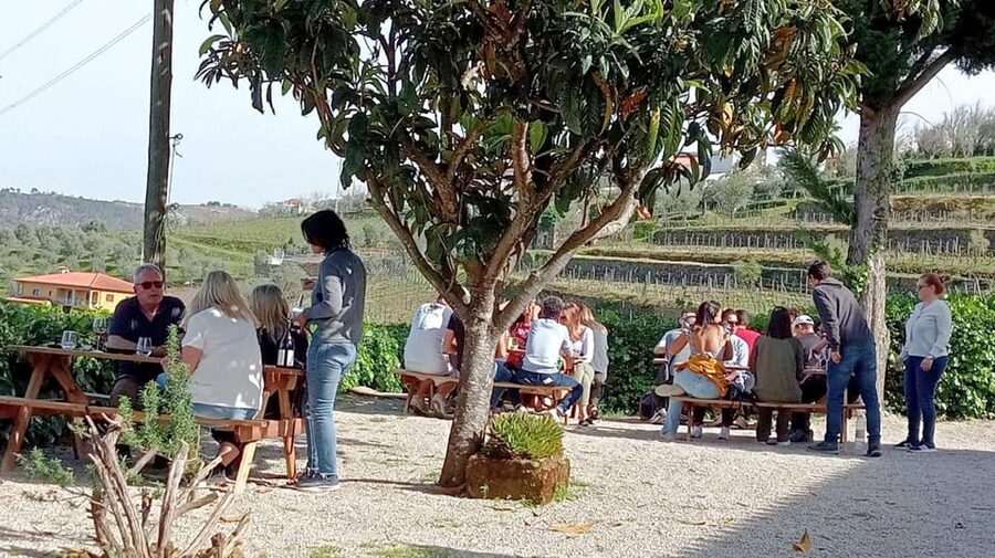 Porto: Douro Valley Vineyards Tour with Lunch & River Cruise - Two vineyards, one big Port lesson you’ll remember