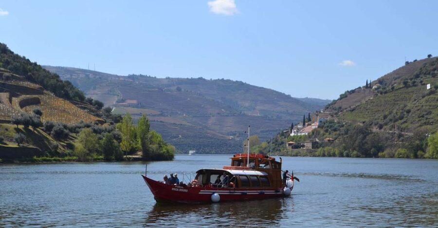 Porto: Douro Valley Vineyards Tour with Lunch & River Cruise - Getting out of Porto: comfortable transport and smart stops