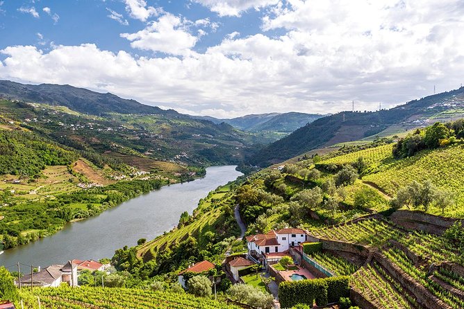Porto: Douro Valley Wine Tour Including Lunch - Second winery stop: 18th-century adega and Port-forward tastings
