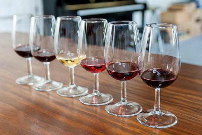 Porto: Douro Valley Wine Tour Including Lunch - Coach views through UNESCO Douro: terraces, viewpoints, and National Road 222