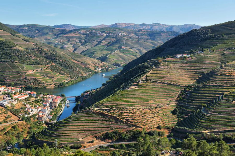Porto: Douro Valley Wine Tour with a Sommelier & Boat Trip - Pinhão lunch: where the day shifts from tasting to fueling