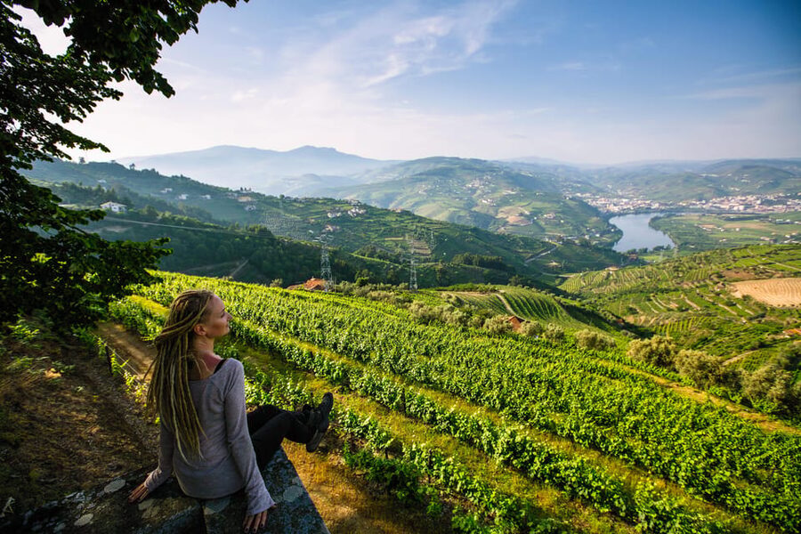 Porto: Douro Valley Wine Tour with a Sommelier & Boat Trip - Logistics that affect your comfort (the stuff I’d plan for)