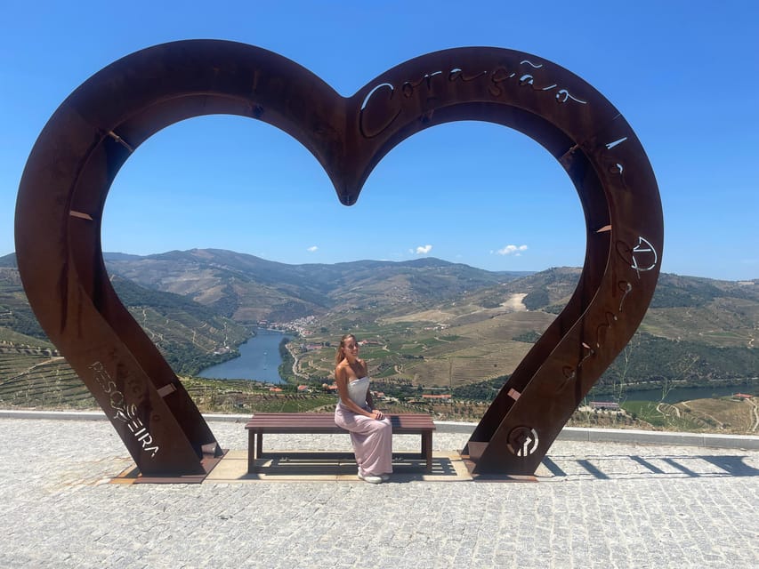 Porto: Douro Valley Wine Tour with a Sommelier & Boat Trip - The road to Douro: N222 and the photo stops you’ll actually use