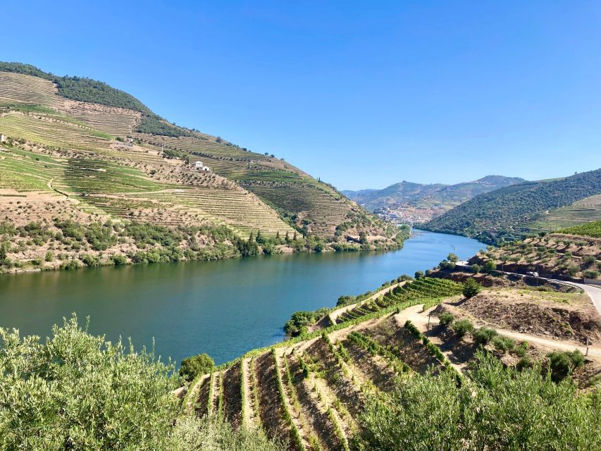 Porto: Douro Valley Wine Tour with Tastings, Boat, and Lunch - Price and What’s Really Included (So You Can Judge Value)