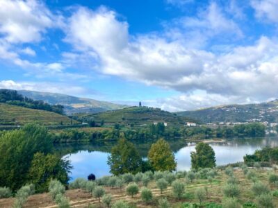 Porto: Douro Valley Wine Tour with Tastings, Boat, and Lunch - The Porto Start: Van Comfort, Stops Along the Way, and Photo Time