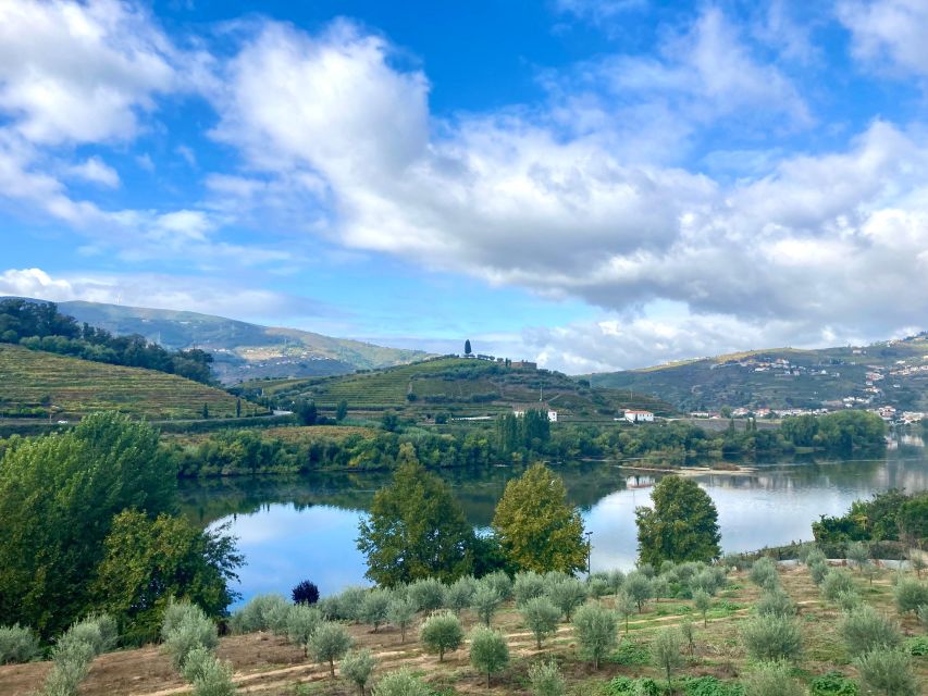 Porto: Douro Valley Wine Tour with Tastings, Boat, and Lunch - The Porto Start: Van Comfort, Stops Along the Way, and Photo Time