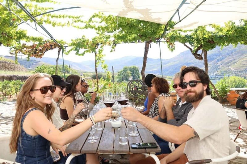 Porto: Douro Valley Wine Tour with Tastings, Lunch & Cruise - Key things I’d clock before you go