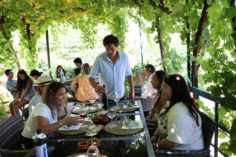 Porto: Douro Valley Wine Tour with Tastings, Lunch & Cruise - Who should book this, and who should skip it