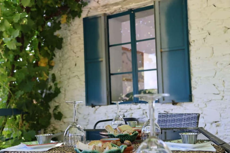 Porto: Douro Valley Wine Tour with Tastings, Lunch & Cruise - What the timing feels like: 8 to 9.5 hours done right