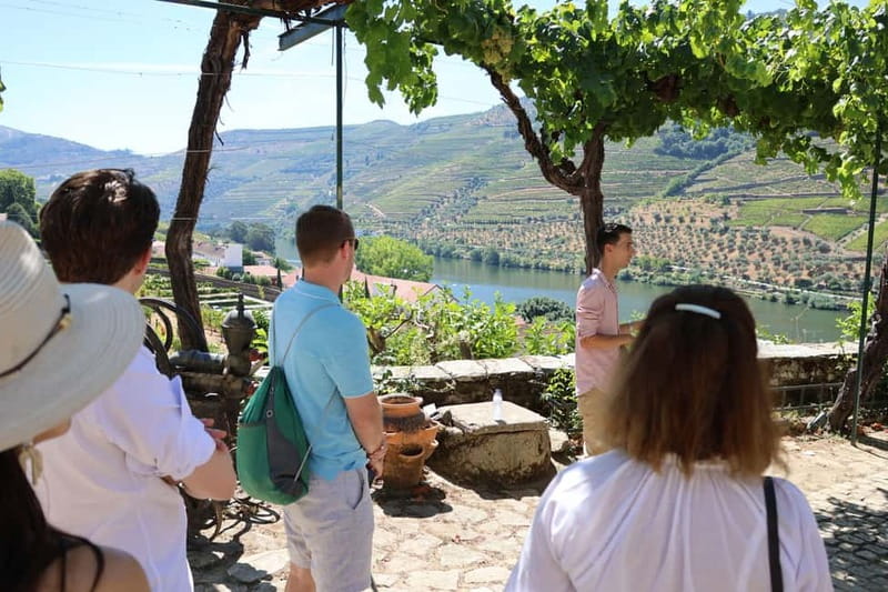 Porto: Douro Valley with Small Wineries, Lunch and Boat Tour - Traditional Portuguese Lunch: Where the Meal Fits Into the Day
