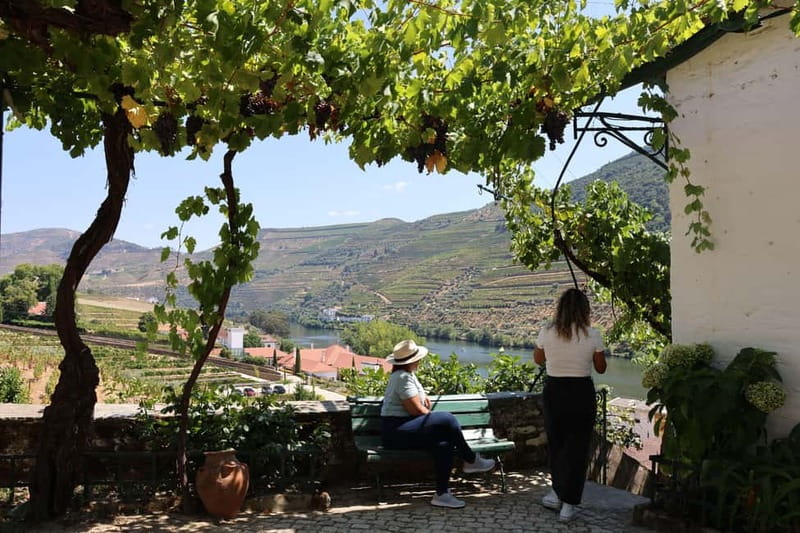 Porto: Douro Valley with Small Wineries, Lunch and Boat Tour - What to Pack and How to Prepare for a Smooth Day