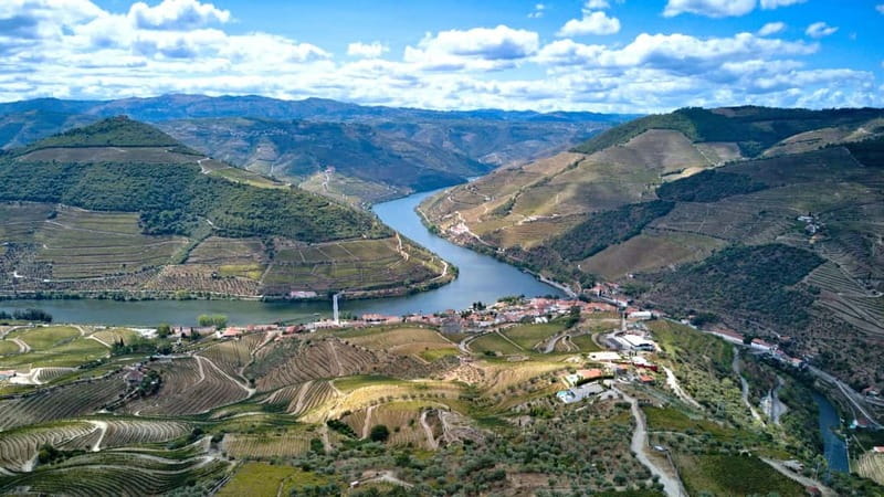 Porto: Douro Wine Tour with Lunch and River Cruise - Price and value: what you’re really paying for at $153