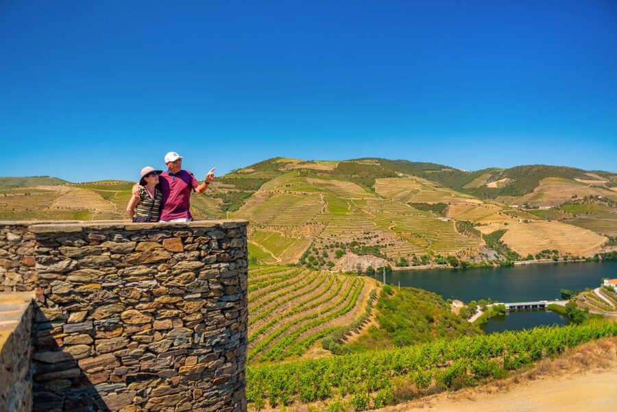 Porto: Douro Wine Tour with Lunch and River Cruise - Winery stop #2: DOC Douro wines and terraced-vine context