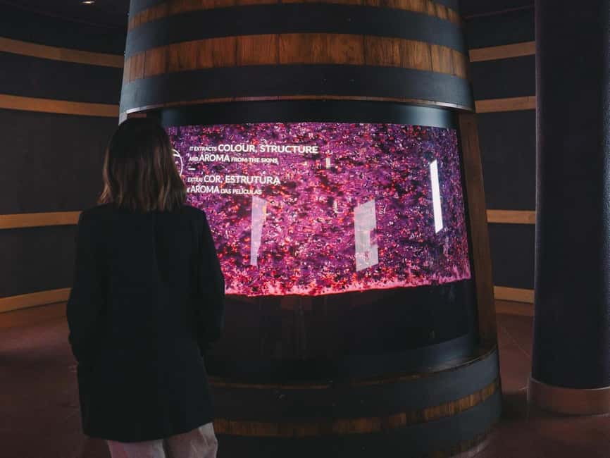 Porto: Entry Ticket at WOW - The Wine Experience Museum - Small practical considerations before you go